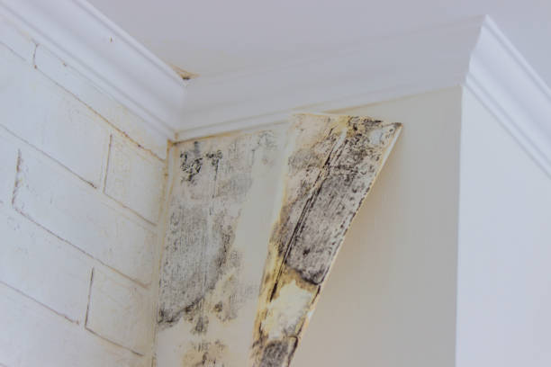 Water damage restoration